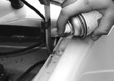 Петли капота